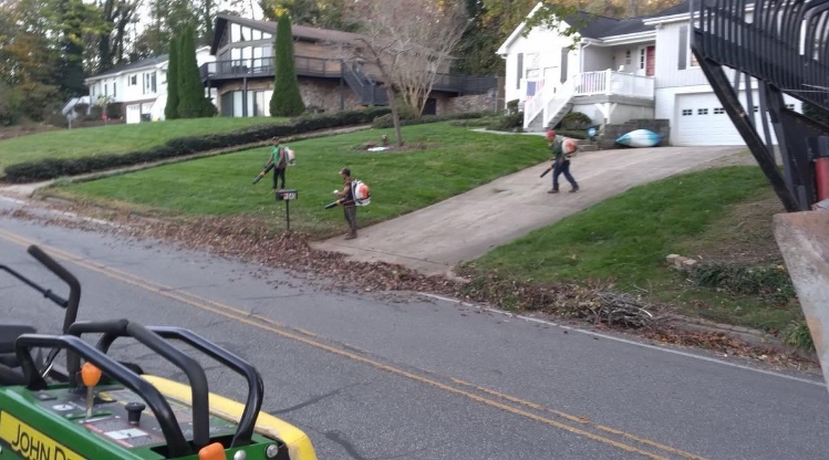 Leaf Blowing (Fall & Winter)